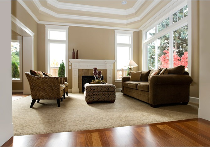 Alfombras en Puerto Rico (Resultados)